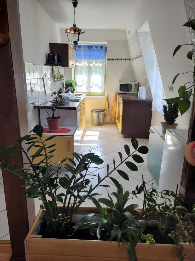 Pieschen Hertz _Toller Preis دريسدن المظهر الخارجي الصورة