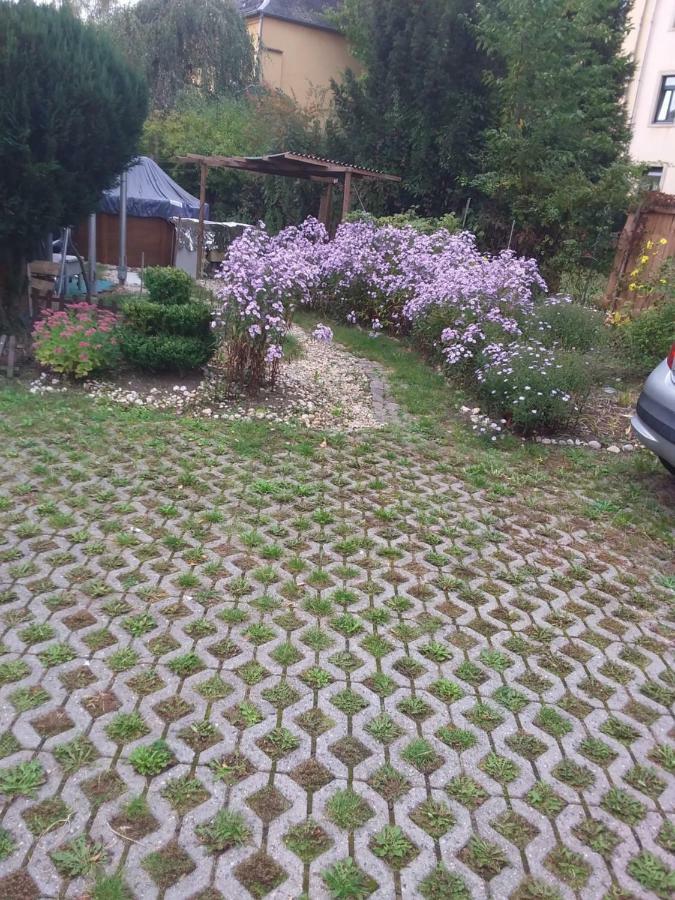 Pieschen Hertz _Toller Preis دريسدن المظهر الخارجي الصورة